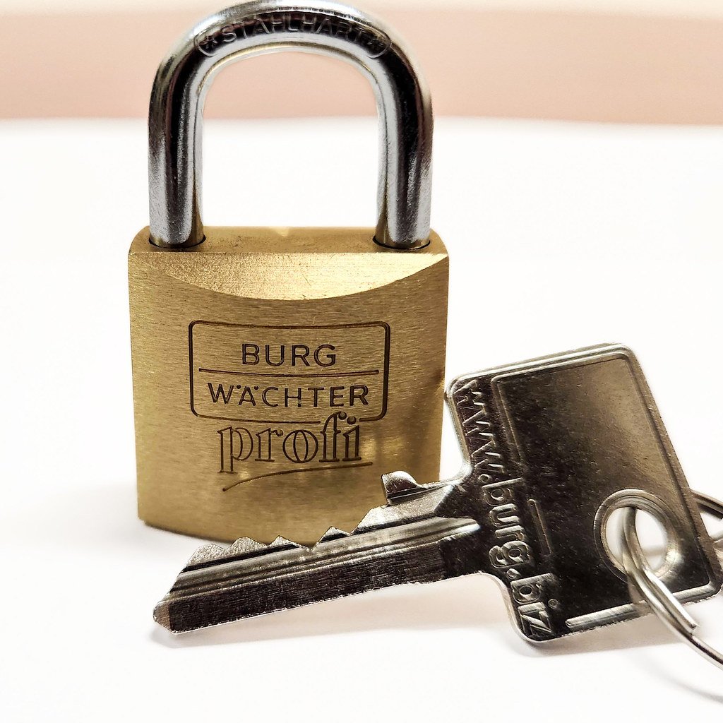 Burg Wächter Profi 116