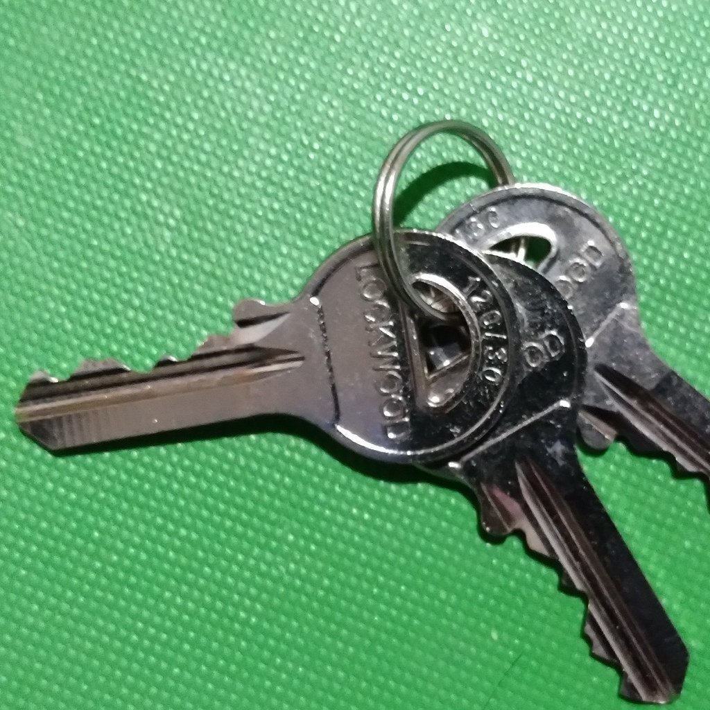 By: Indigenouslockpicker (CC BY-NC-SA 4.0, via LPU)