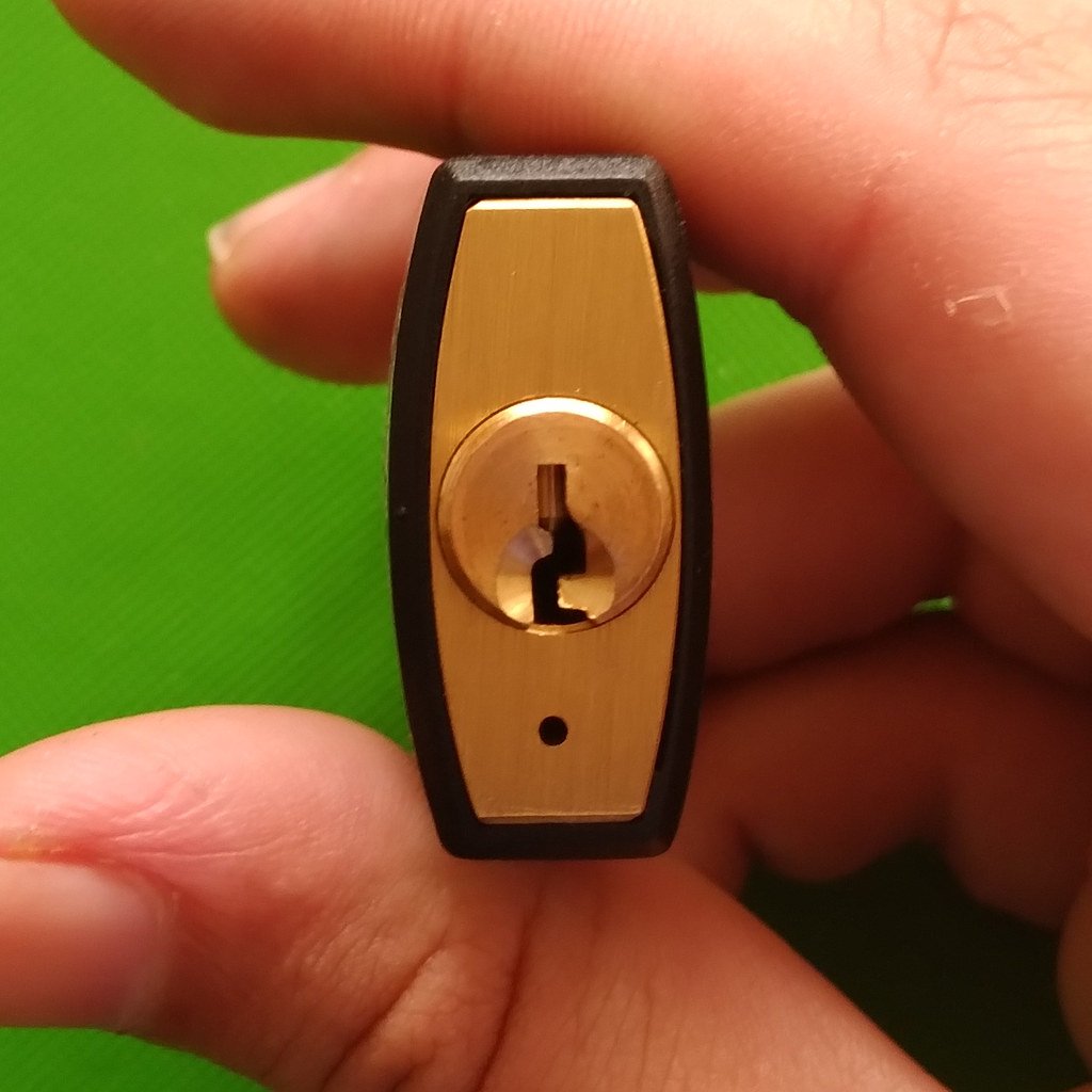 By: Indigenouslockpicker (CC BY-NC-SA 4.0, via LPU)