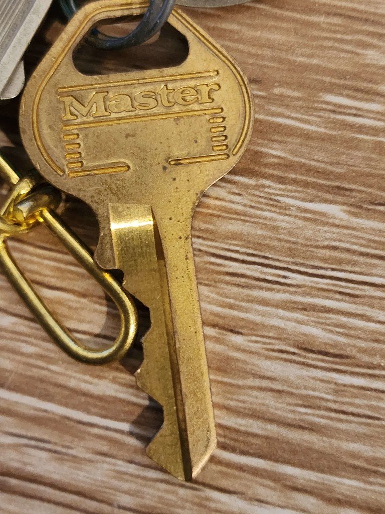 By: Alpama (CC BY-NC-SA 4.0, via LPU)